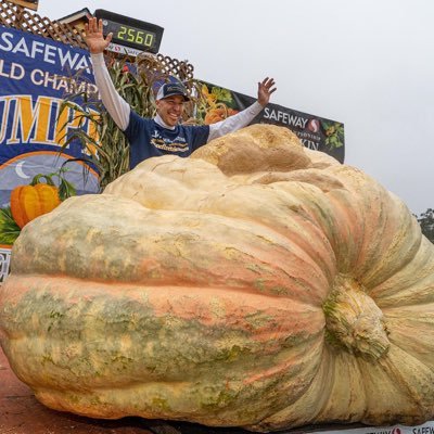 Follow the Safeway World Championship Pumpkin Weigh-Off (Oct. 9) & Half Moon Bay Art & Pumpkin Festival (Oct. 14-15)! #pumpkins #giantpumpkins #HMBPumpkinFest