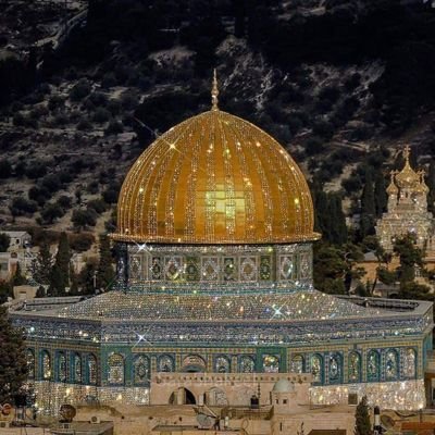 AmirHus65992266's profile picture. Busy