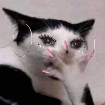 perusing16's profile picture. 