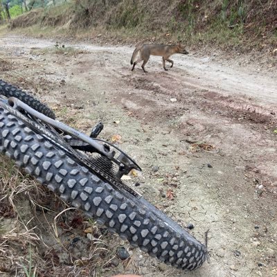 Recucho's profile picture. Ingeniero Uniandes