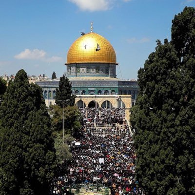 KhadijahZine's profile picture. مصممة جرافيك