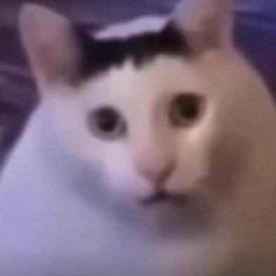 pncp_p's profile picture. Ohhhhhhhhhhh〜