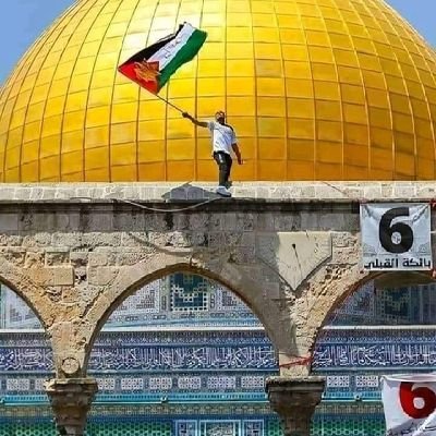 twfan621341's profile picture. النصر أو الشهادة