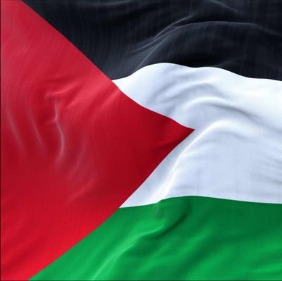 MusabIbrahimAh3's profile picture. A man with a mission.