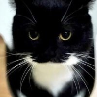 MAUL π (@tidemaul) 's Twitter Profile