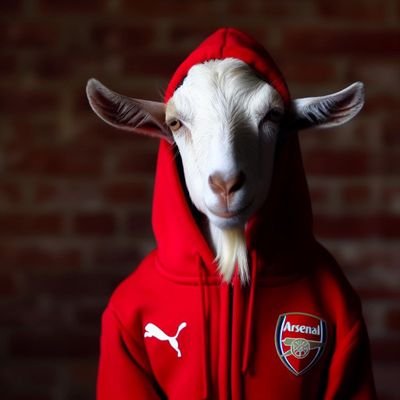 🔴🤍ARSENAL⚪🔴

thank you for following, relax I'll surely follow back