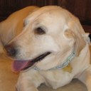 Kevin Corr - @keecorr - Twitter