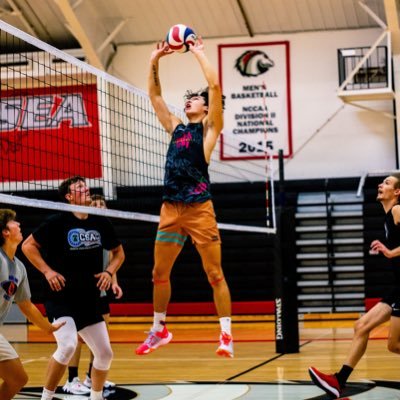 pmevolleyball's profile picture. PRETTY MUCH EVERYTHING VOLLEYBALL