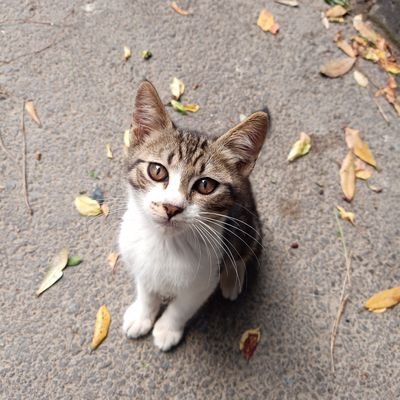 Vlkn00725713's profile picture. hayat kısa kuşlar uçuyor tadını çıkar ⚡