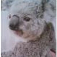 blueteria51 (@blueteria51) 's Twitter Profile Photo