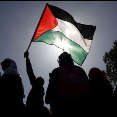 (Wēll___________cømë)
ØÑ__________My
_______Profìlë______________
follow this account  @Hassanalibk1 👈🏻
#Free Palestine🇵🇸
#iconic #PakistanZindabad