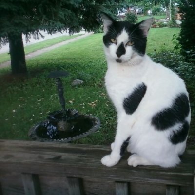 Magicmax6141's profile picture. 