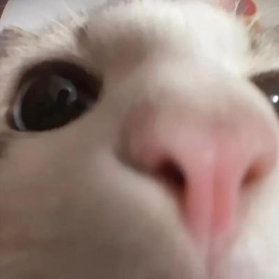 cccc_nnnna's profile picture. 🫶🏻 #michellebehrmann 💖 💖