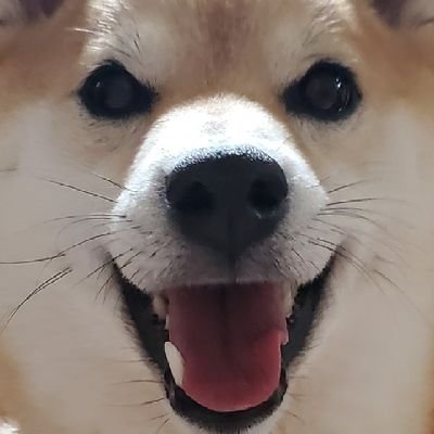 MS難病患者(コパキソン💉)
Jが好きな大人⛄💜
20207/2〜4/3産-柴女子🐶
1/25移植①2/3🧚♂️2/18心拍確認後🌈
7/14移植②化学流産🌈
排卵障害、ラクトバチルス菌0.2
3/5移植③子宮頸管無力症マクドナルド術
妊糖11/21予定日→10/31予定帝王切開で誕生👧K2月曜卒業