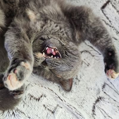 daverino23's profile picture. Träume groß, lebe einfach, liebe herzlich, lache oft!
💙🇩🇪!🆓🗣️!🚻!🫂🫶🏻🌞
-The only time you should ever look back is to see how far you’ve come-