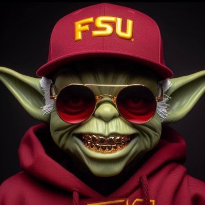 GO NOLES | GO JAGS | GO BRAVES | GO MAGIC | 2ND AMENDMENT ABSOLUTIST | COLLECTOR OF MANY THINGS | BITCOIN TRADER | BUSINESS OWNER | OWNER OF NOLES ONLY!