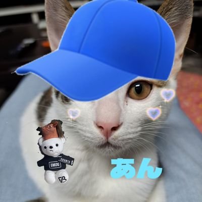 anchinman2's profile picture. シュント最推し🧢🔥娘2人もBESTY🧢🐧🐬♥無言フォロー失礼します🙇‍♀️✨ｱｷﾃｸFC
8/27,11/19,3/11,8/26,9/30,11/12,2/17,3/17,4/20,21,5/3,6/28,8/31,9/23,1/9,5/6,24→9/27,11/16,1/17,18