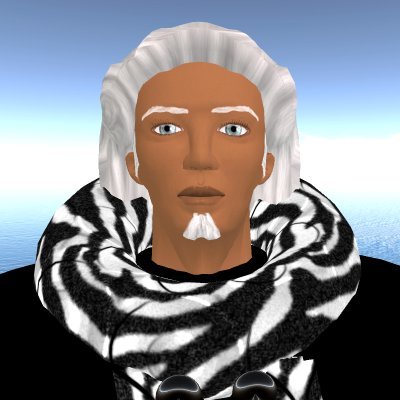VIRTUAL3D's profile picture. Creators of the 3D online virtual world  simulation environment of Dreamworld ! Count Burks offers high quality land for rent in Second Life !