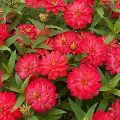 emicatchannel's profile picture. れいわ新選組ボランティア
好きなもの:猫さん、旅行、寺社仏閣巡り、美しい景色、ドラマ、映画