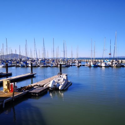 dal3WSUWvr8DKqr's profile picture. 