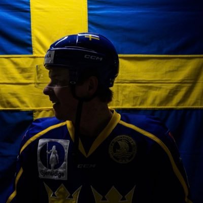 Swedish hockey player