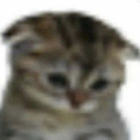 RexyAbelino's profile picture. RBLX : BobbaXD_3
UID : 655726029