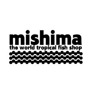 富山県富山市にあるmishima熱帯魚です。熱帯魚、水草、ADA、ディスカス、アジアアロワナ、大型魚、海水魚、アクリル水槽など取り扱っております。通販もしていますhttps://t.co/3V9to6Hpvy