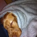 per kristensen - @PerPkt - Twitter