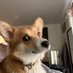 VaderT (@vadert156255) Twitter profile photo VaderT (@vadert156255) Twitter profile photo