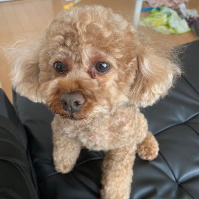 QYsivPqzzM98159's profile picture. NISAは投資信託メイン| 日本株| S株| 高配当株| 米国ETF | 日常のつぶやき| 趣味はジムトレ|有益な発信なし|よろしくお願いします