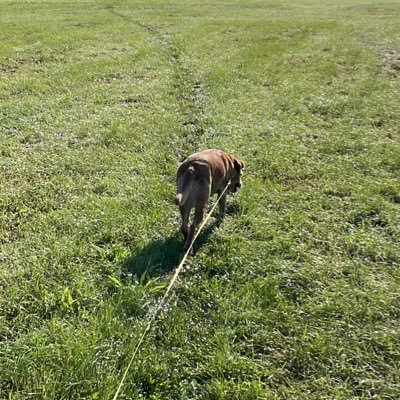 SchlummiFix8's profile picture. 