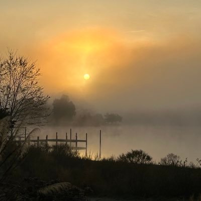 lsctodesign's profile picture. 