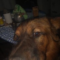 yurinating (@chadmuttony) 's Twitter Profile Photo yurinating (@chadmuttony) 's Twitter Profile Photo