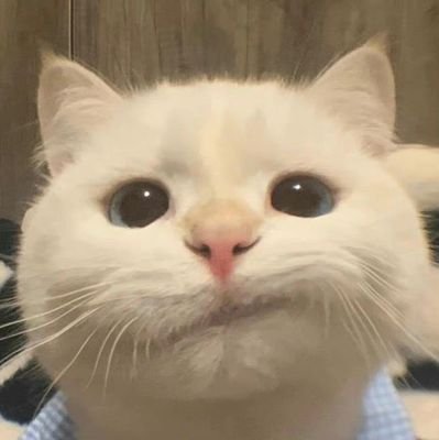 DoyJaejoon_'s profile picture. 