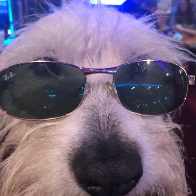 sadforjournos's profile picture. Here for the party…