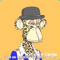 bzxzmxtrixa's profile picture. Start the day with coffee. end the day with nfts.