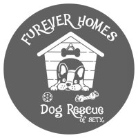 Furever Homes Dog Rescue of SETX (@fhdrofsetx) 's Twitter Profile Photo