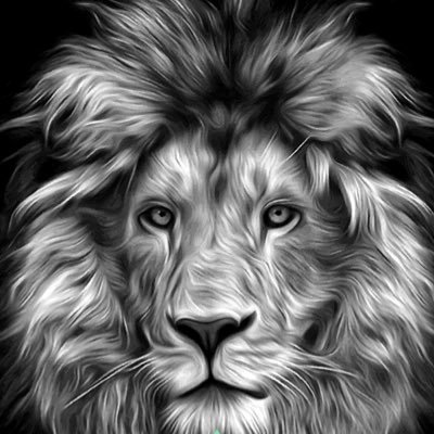 Trader Since 2019 | Certified Confidence & Empowerment Coach |#