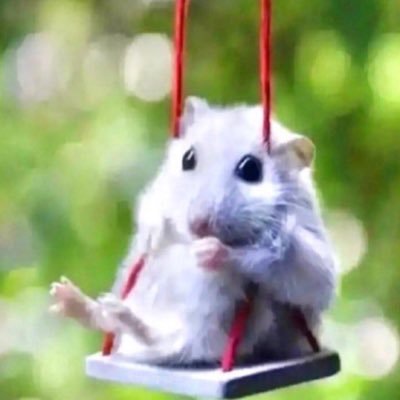 buttwholefart's profile picture. 