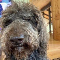 Livelongandprosper (@livelongandpr18) 's Twitter Profile Photo