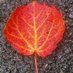 yearnstane (@yearnstane) Twitter profile photo yearnstane (@yearnstane) Twitter profile photo