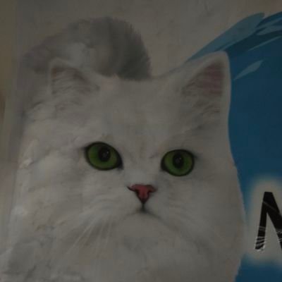 monpetitnatural's profile picture. 