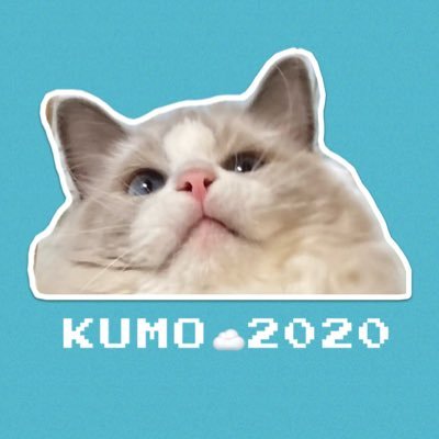 KUMO (くも)☁️2020.3.3♀最近のブームは飼い主のふにゃふにゃした脇の下を強めの圧で毎日10分程度マッサージすることです。#猫 #ネコ #ねこ #ラグドール #CatsOfX #RagdollCats