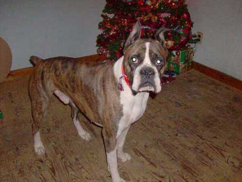 LisaFox21's profile picture. 