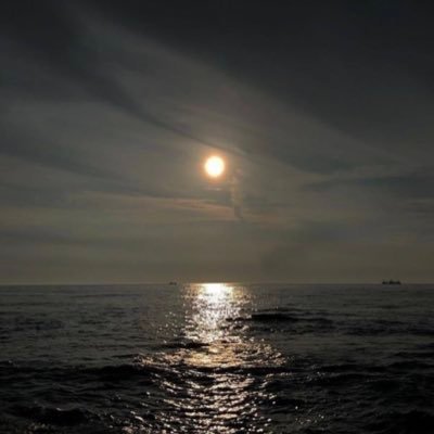 saraa_ku11's profile picture. 