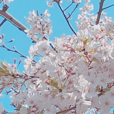 nbews_'s profile picture. enst