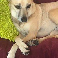 Athena (@ehrhornwilliam) 's Twitter Profile