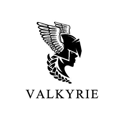 https://t.co/K8dKKJrCXu

email us at: Support@valkyries.luxury

We help you transition nicely and easily. 💊💉