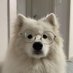 wอยอ ˘͈ᵕ˘͈ (@_bonitayou) Twitter profile photo wอยอ ˘͈ᵕ˘͈ (@_bonitayou) Twitter profile photo