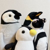 さと (@michikel) 's Twitter Profile